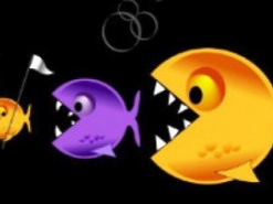 За счет чего рос оборот интернет-магазинов в 2015 году