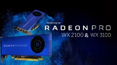 AMD представила видеокарты Radeon Pro WX 3100 и 2100