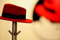 Red Hat увеличивает продажи софта по подписке на 19%