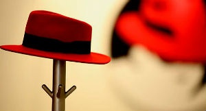 Red Hat увеличивает продажи софта по подписке на 19%