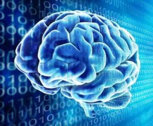 Новый суперкомпьютер сможет имитировать работу мозга