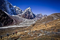 Правила жизни в ИТ проектах