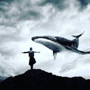 Синій кит: на Сумщині дві школярки виявилися гравцями "групи смерті"