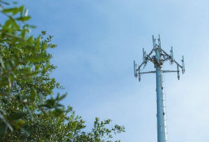 Мировая абонентская база LTE-сетей продолжает быстро расти