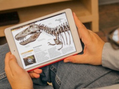 Планшеты и сенсорные технологии будут стимулировать рост рынка мобильных ПК