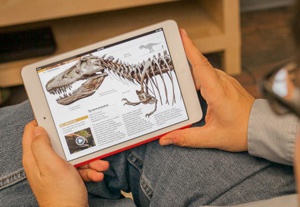 Планшеты и сенсорные технологии будут стимулировать рост рынка мобильных ПК