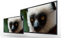 Sony дразнит большими OLED-мониторами с разрешением 4K