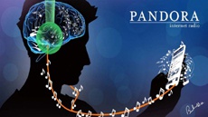Руководство Pandora ищет покупателей для своей компании