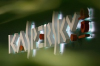 «Лаборатория Касперского» начала сотрудничать с Интерполом