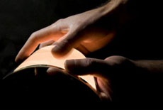 Samsung лидирует на рынке смартфонов с OLED-дисплеями