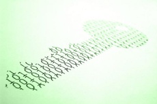 В приложении VeraCrypt найдено множество уязвимостей