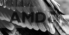 С 2017 по 2019 год процессоры AMD будут носить птичьи имена