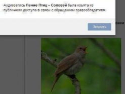 Пиратству в Украине способствует устаревшее законодательство