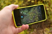 Google подтвердила поддержку RAW в Android