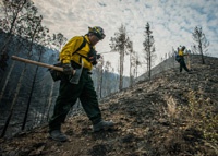 Алгоритм научили искать пожары на снимках в соцсетях
