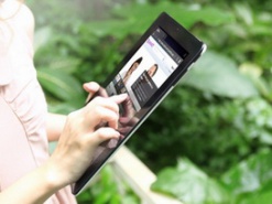 Apple отправила в минус рынок панелей для планшетов