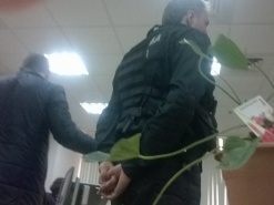 Фискалы продолжают сбор средств с IT-компаний на грядущие выборы