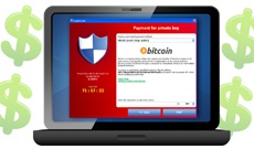 За Cryptowall 3.0 стоит только одна группировка