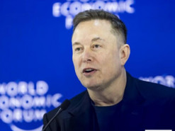 Маск повертається в політику – WSJ