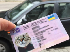 Суд виніс вирок жінці з Рожнятівщини, яка замовила водійське посвідчення через інтернет