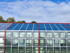 Добувають енергію та їжу: вчені придумали незвичайне застосування сонячним вікнам