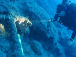 Приголомшило навіть археологів. Що особливого в уламках стародавніх кораблів в Анталії