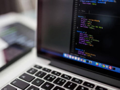 Українці, які постраждали від війни, можуть безплатно пройти IT-курси