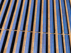 Більше, ніж Словенія: найбільший у світі генератор "зеленої" енергії займе 2,2 млн га