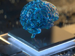 ЮАР первой в мире выдала патент искусственному интеллекту