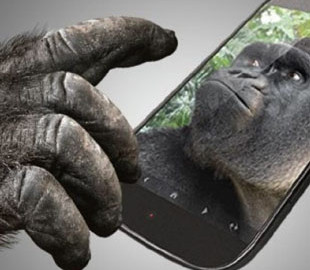 Європейський Союз звинуватив Gorilla Glass у монополії