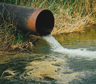 Великі тваринницькі ферми в ЄС зобов'яжуть зменшити шкідливі викиди