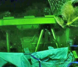 Підводний робот газової компанії випадково знайшов затонулий корабель, якому 3300 років