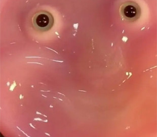 В Японії створили робота з людських клітин, який може посміхатися