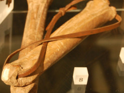 У Китаї знайшли ковзани, яким три тисячі років