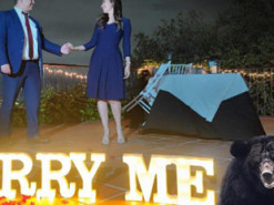 Дикий ведмідь кумедно перериває пропозицію руки і серця, переступаючи через сцену