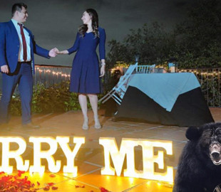 Дикий ведмідь кумедно перериває пропозицію руки і серця, переступаючи через сцену