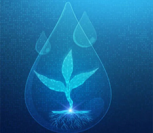 До 2030 року ШІ споживатиме стільки води, скільки потрібно 1,3 мільярда людей – звіт ООН