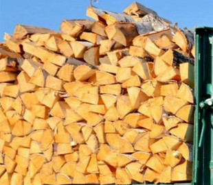 На Вінниччині шахраї продають дрова від імені лісівників