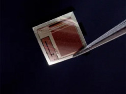 Мікрочип, що читає думки: вчені створили надтонкий імплантат для зв’язку мозку з ШІ