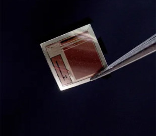 Мікрочип, що читає думки: вчені створили надтонкий імплантат для зв’язку мозку з ШІ