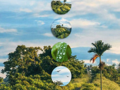 Тизеры подтверждают наличие квадрокамеры у смартфона Honor 20