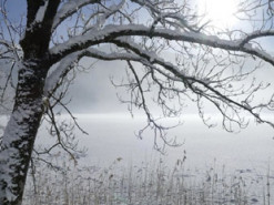 Зима 2022-2023: чи варто очікувати Україні аномальних холодів