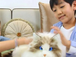 Може муркотіти, спати і гратися: у Китаї створили першого у світі робота-кота