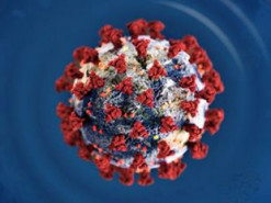 Фонд Гейтса предоставил глобальному альянсу по вакцинам Gavi $1,6 млрд