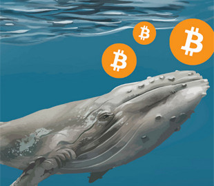 Биткоин-кит переместил $330 млн в BTC на неизвестный кошелек