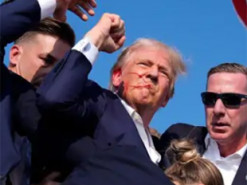 Замішана загадкова дама: з'явилася нова божевільна теорія змови щодо замаху на Трампа