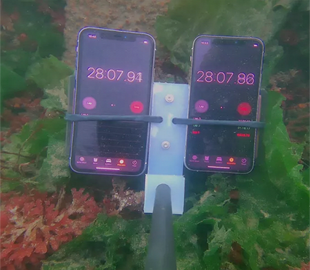 Экстремальный тест iPhone 11 и 11 Pro: 8 месяцев под водой