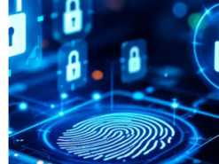 Ілюзія безпеки: українська молодь масово ігнорує загрози в інтернеті