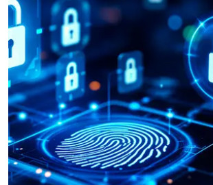 Ілюзія безпеки: українська молодь масово ігнорує загрози в інтернеті