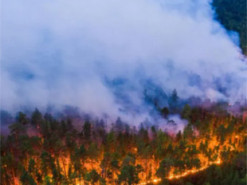 “Зомбі-пожежі” знищують Сибір та Канаду: вчені розповіли, хто в цьому винен